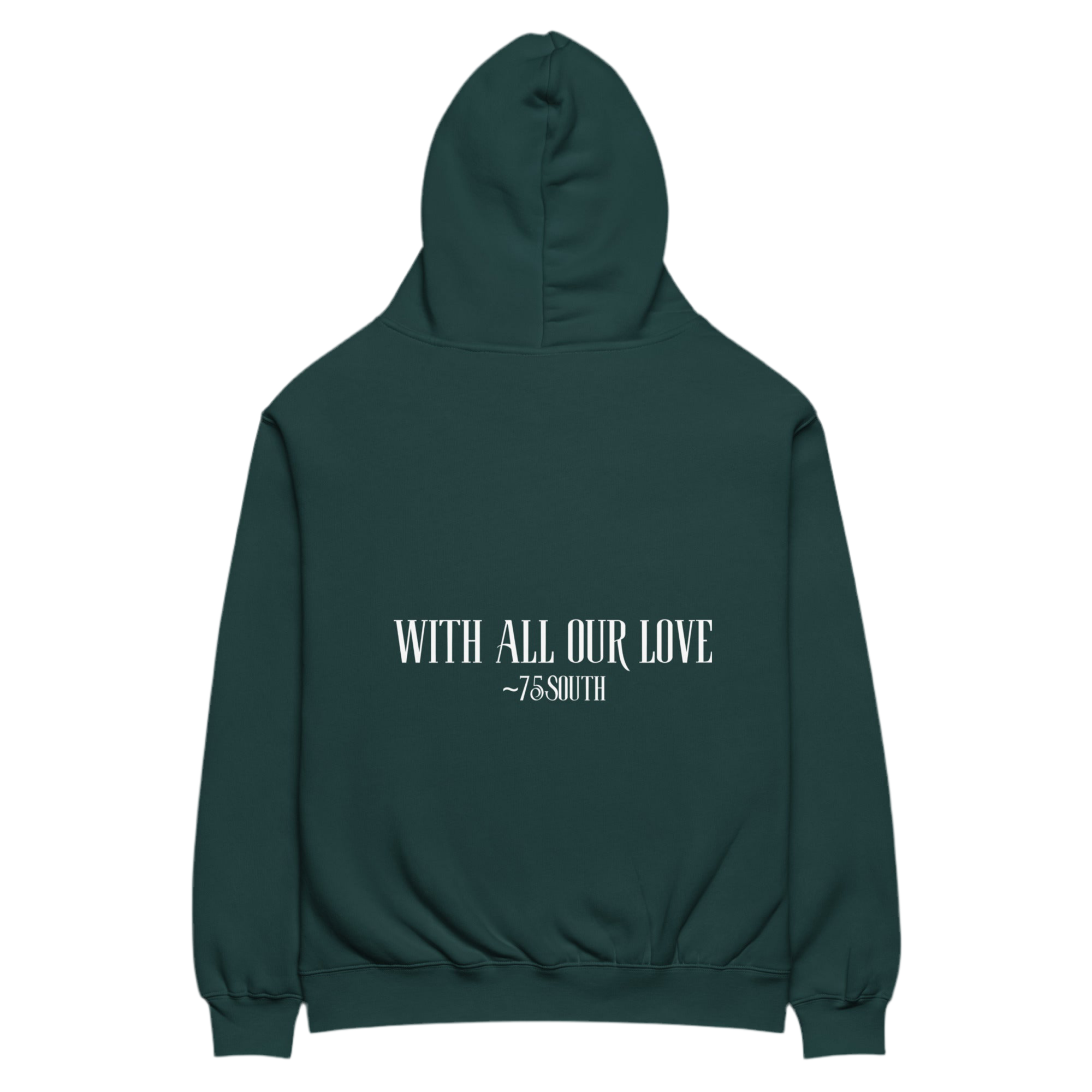 Detroit City Vibes Unisex oversized hoodie