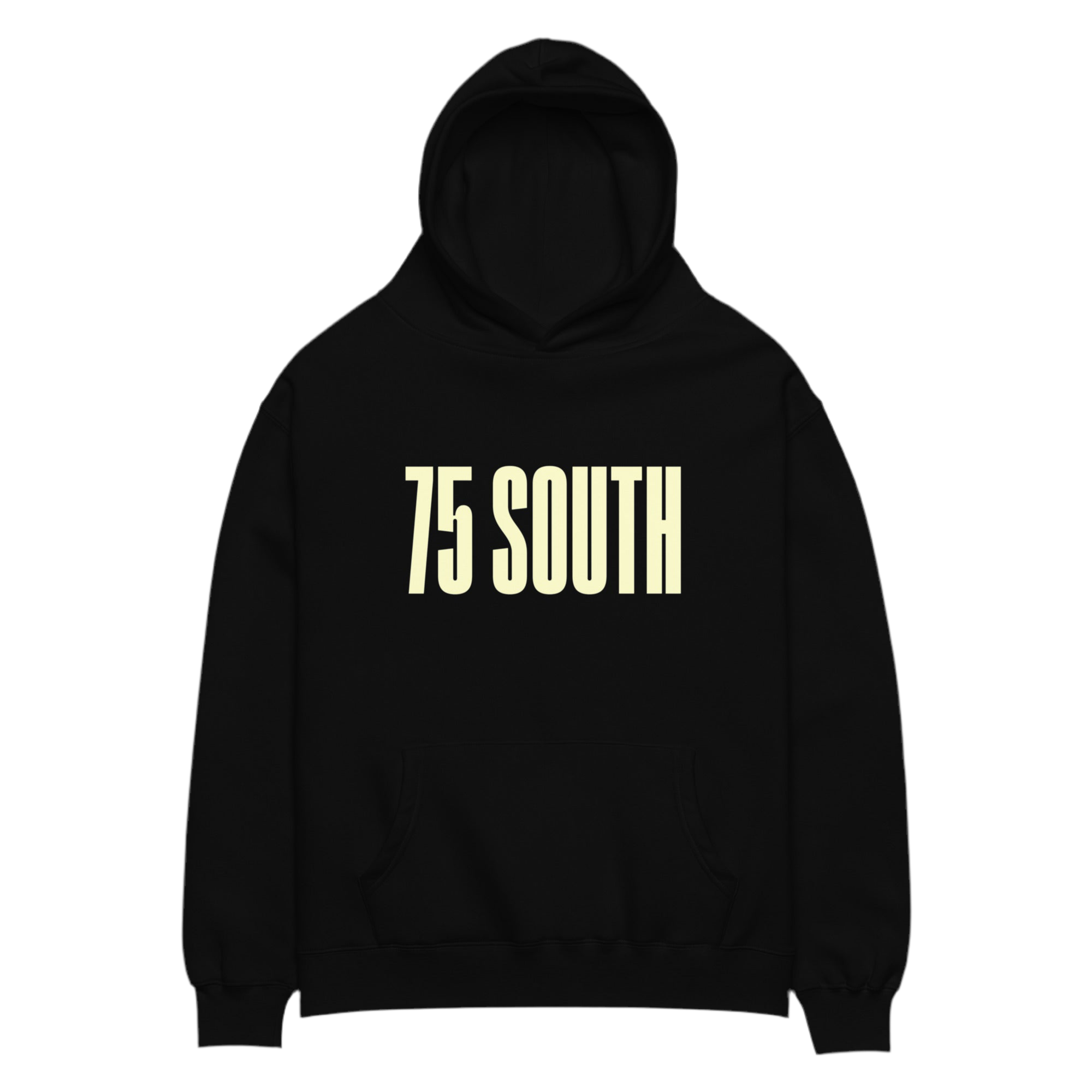 75 South Detroit Unisex oversized hoodie
